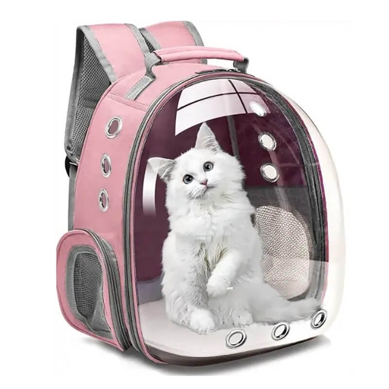 custom pet bags